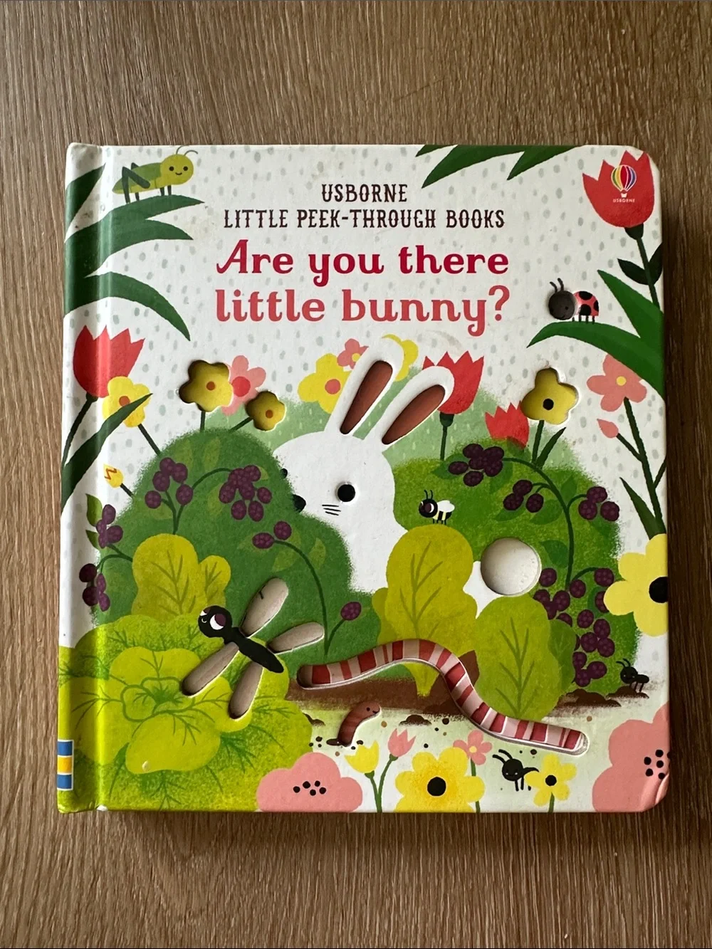 Usborne Are You There Little Bunny? Peak Thru Board Book